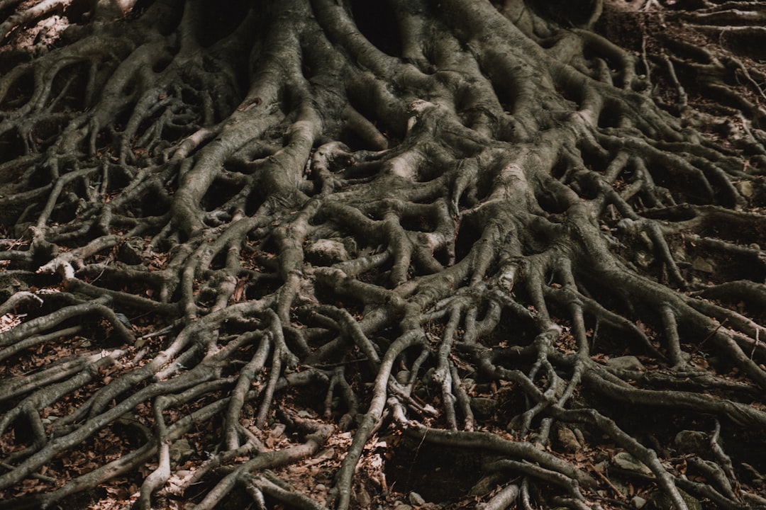 Understanding the Root Causes of Billing Discrepancies understanding root