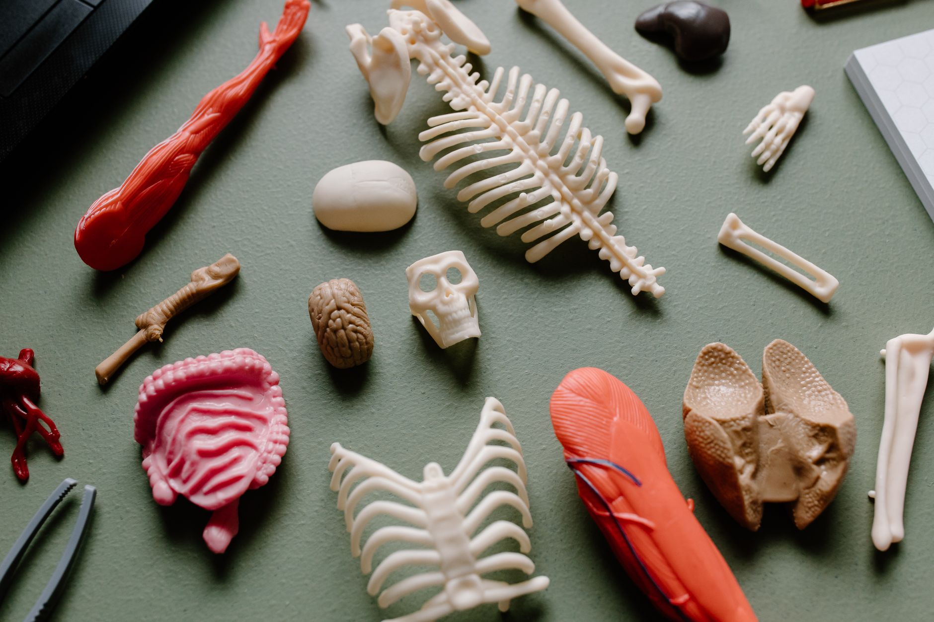 The Anatomy of Software Failures anatomy software